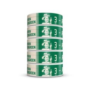 ALP Nicotine Pouches 5PK Mountain Wintergreen 3MG Angle 1